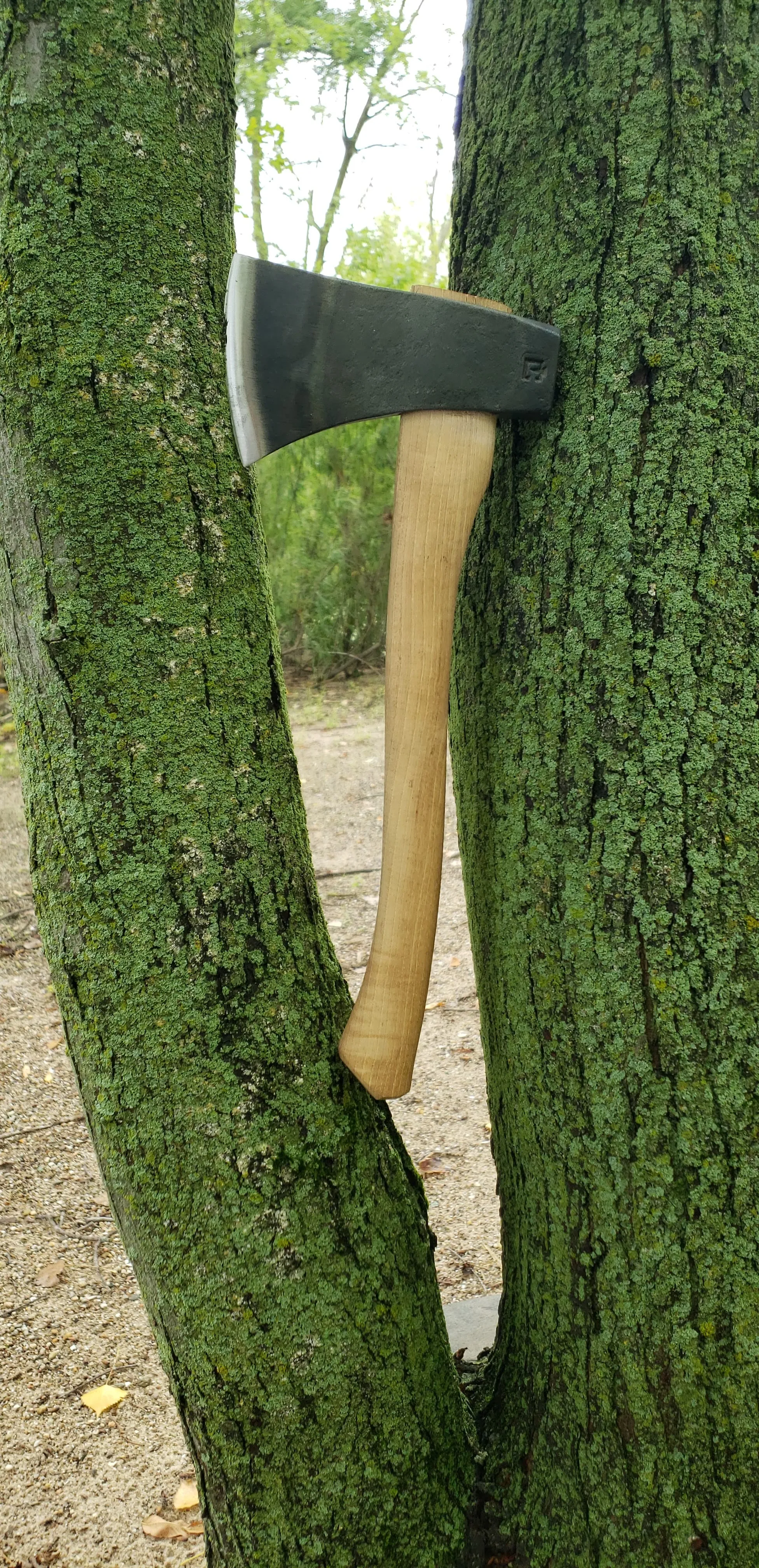 20 pack - Council Tool Flying Fox - 16" Throwing Hatchet -BULK Pricing