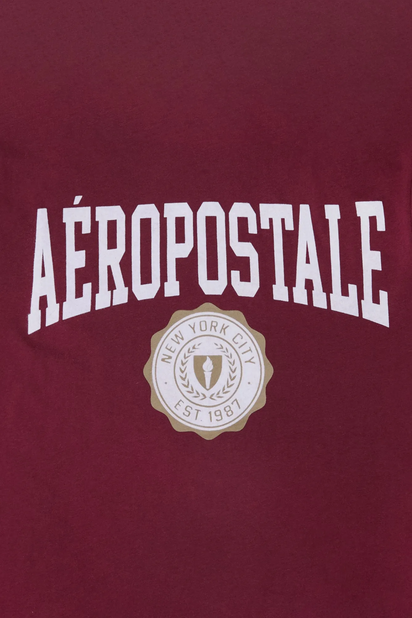 Aéropostale Graphic Flocked Tee