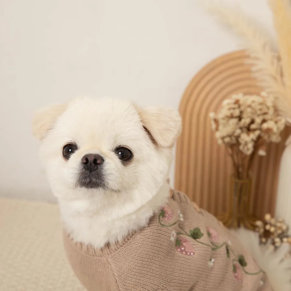 embroidered knit cardigan